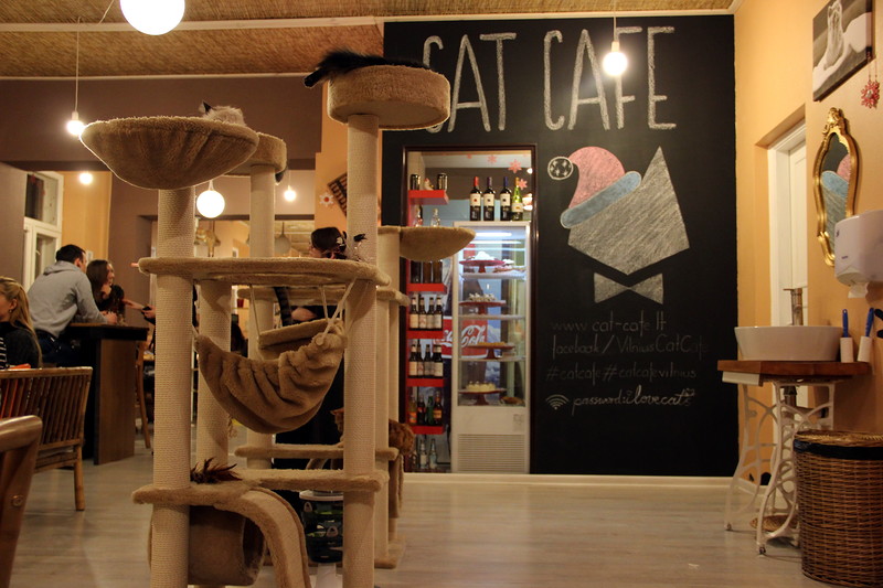 Интерьер Cat Cafe в Вильнюсе
